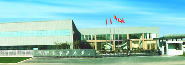 內圖1
